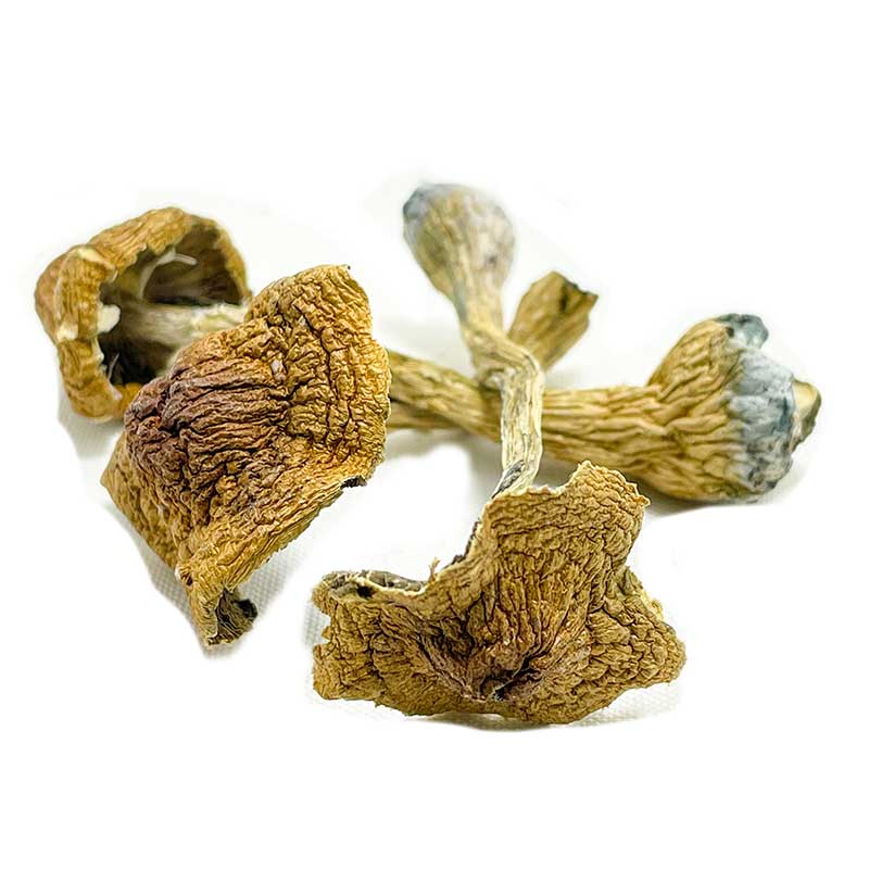 https://microdosinggummies.com